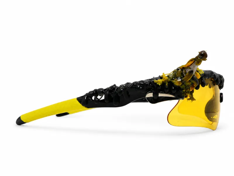 Bionic Bees — vue complémentaire 1