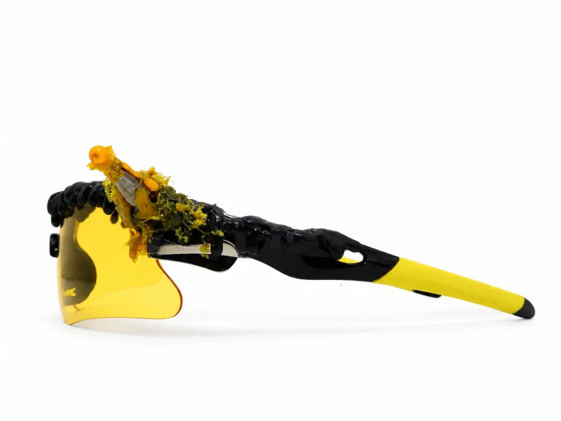 Bionic Bees — vue complémentaire 3